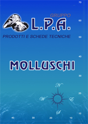 Molluschi